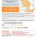 Bulletin d’information pêche à pied de loisir
