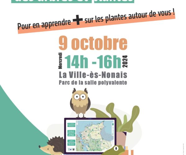 Bibliothèque :animation autour des arbres