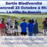 Collectifs Ricochets : Sortie biodiversité