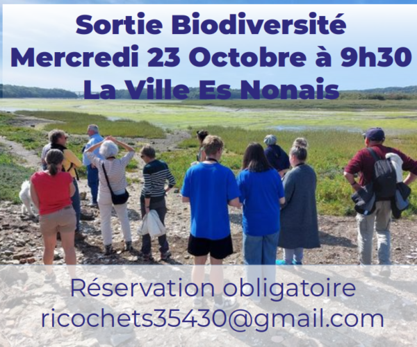 Collectifs Ricochets : Sortie biodiversité