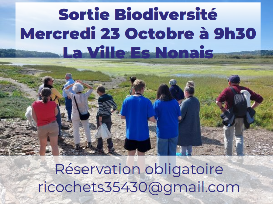 Collectifs Ricochets : Sortie biodiversité