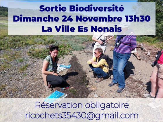 Ricochets : sortie biodiversité dimanche 24 novembre à 13h30