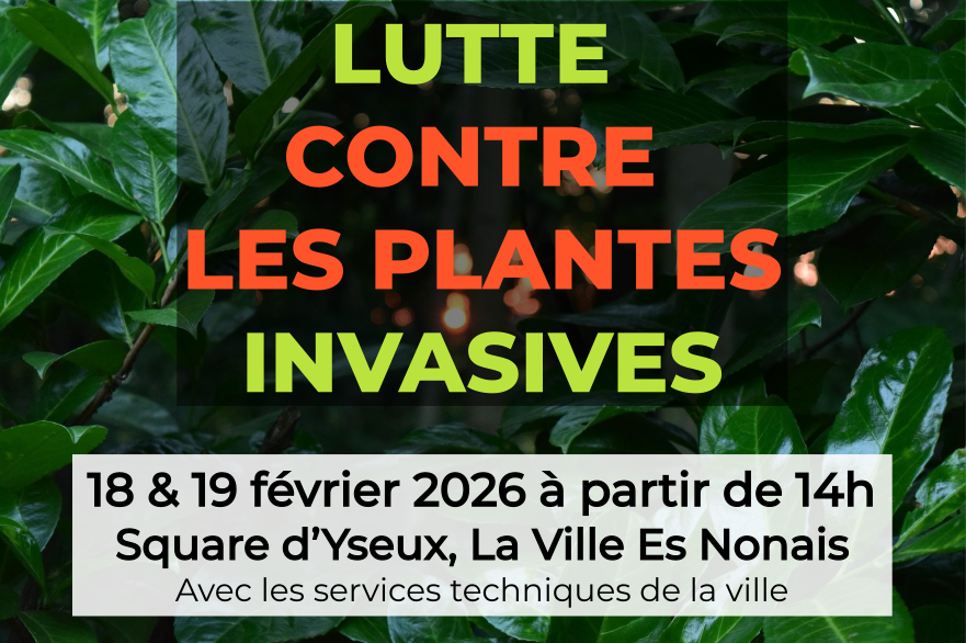 Ricochets :lutte contre les plantes invasives