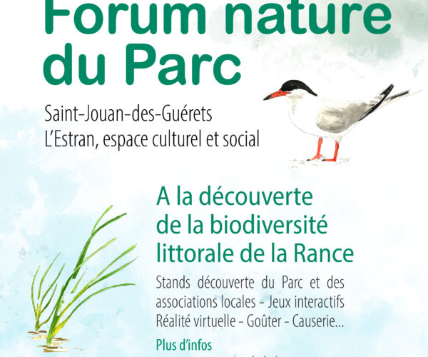 Forum nature :