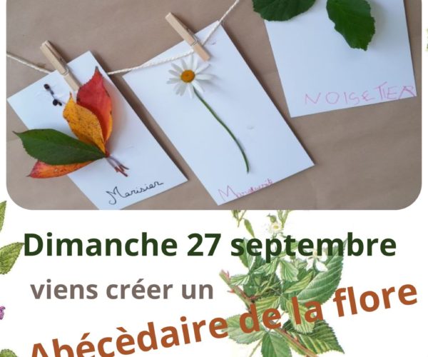 Bibliothèque : atelier sur la flore du parc Solidor